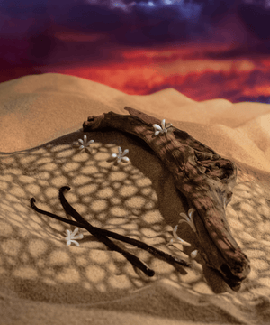 Luxurious DJANET SUNSET – Extrait de Parfum 100ml by Maison Maïssa at the5thscent with elegant oriental woody notes and desert sunset.